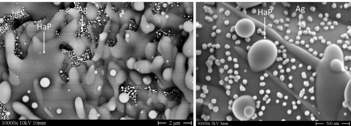 Bild 2. Elektronemikroskopische Aufnahme (BSE) einer Hydroxylapatitschicht dotiert mit Silbernanopartikeln. Diese sitzen auf der Oberfläche der Hydroxylapatit (HaP) Spritzlamellen.